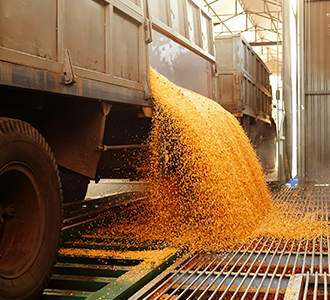 unloading corn