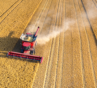 harvesting crops