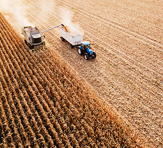 harvesting crops