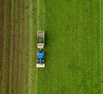 harvesting crops