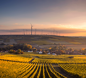 country fields at sunset