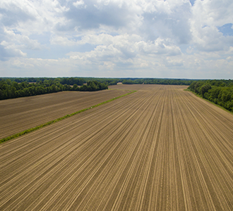 open field in the country