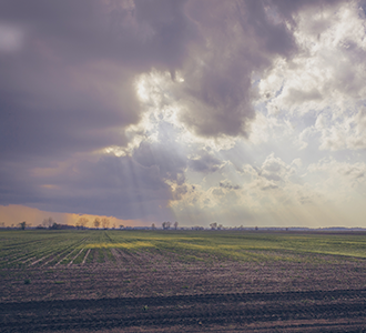 crop lands