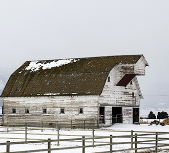 snowy barn