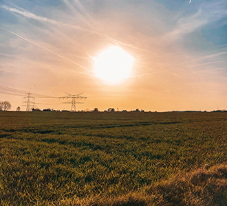 Sunset farmland