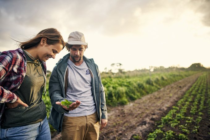 Farmers