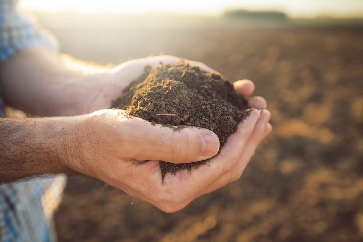 Soil