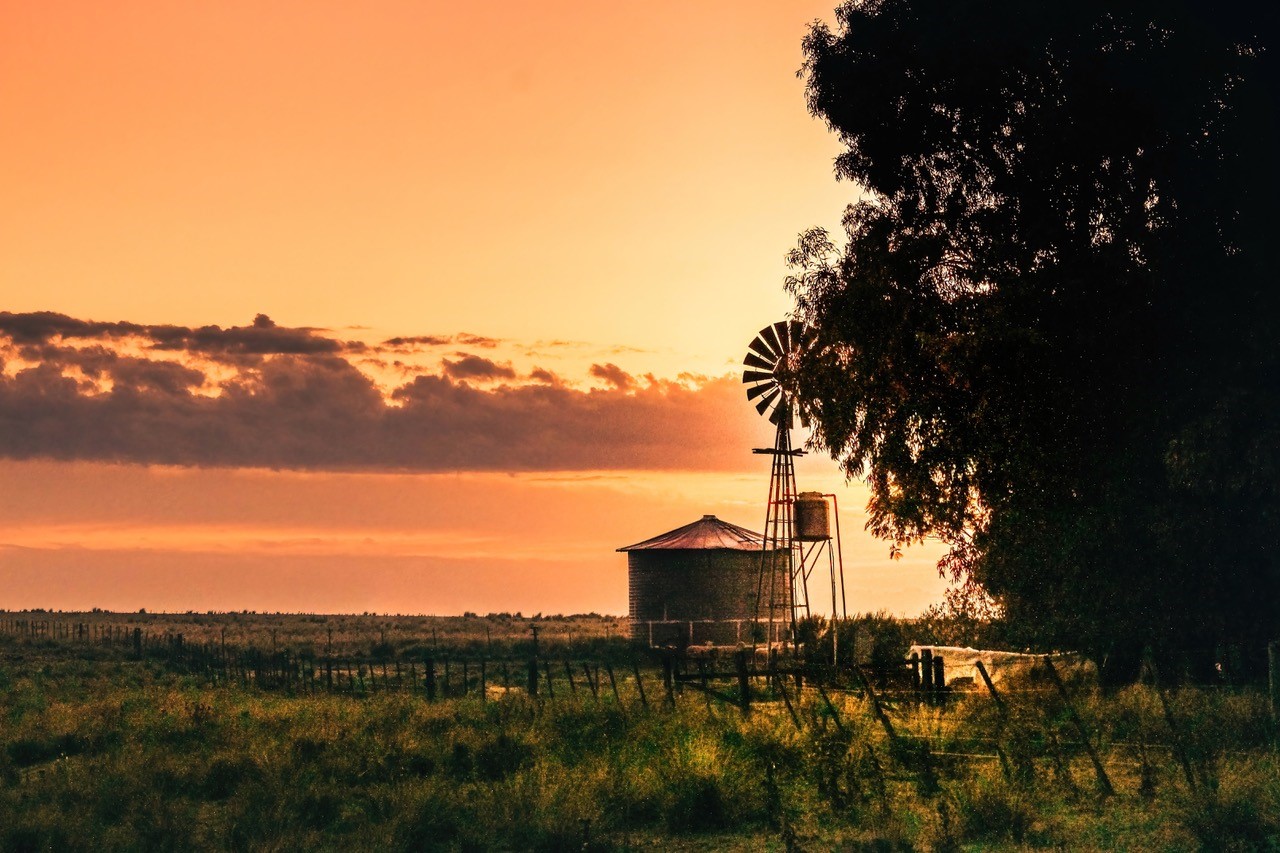 windmill on a farm