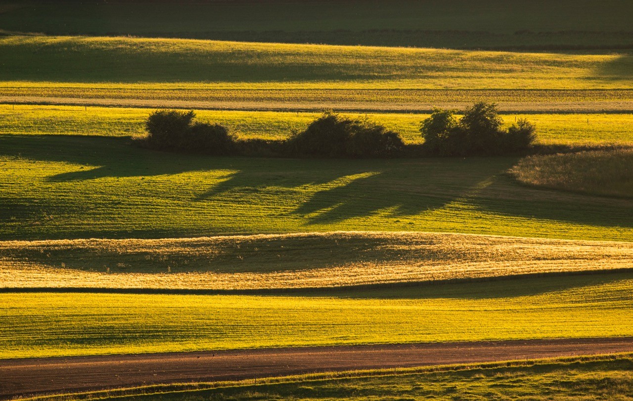 farmland