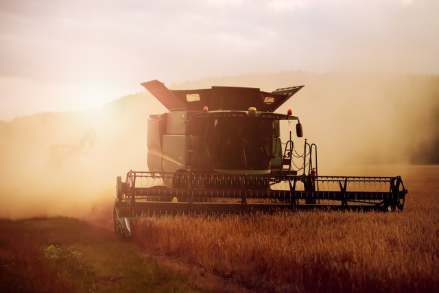 Grain Harvester