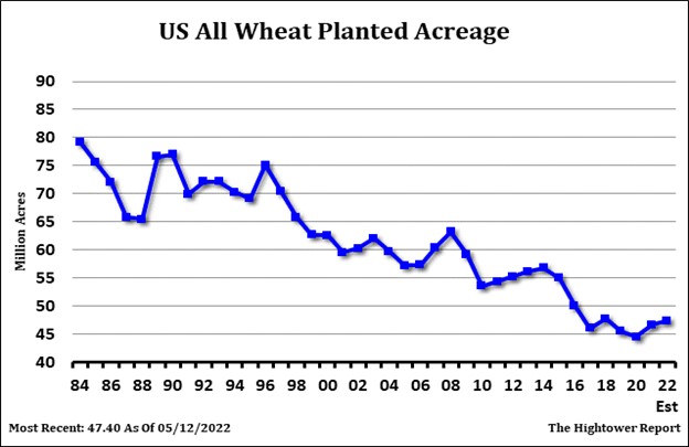 US All Wheat Planted Acres 5.31.22