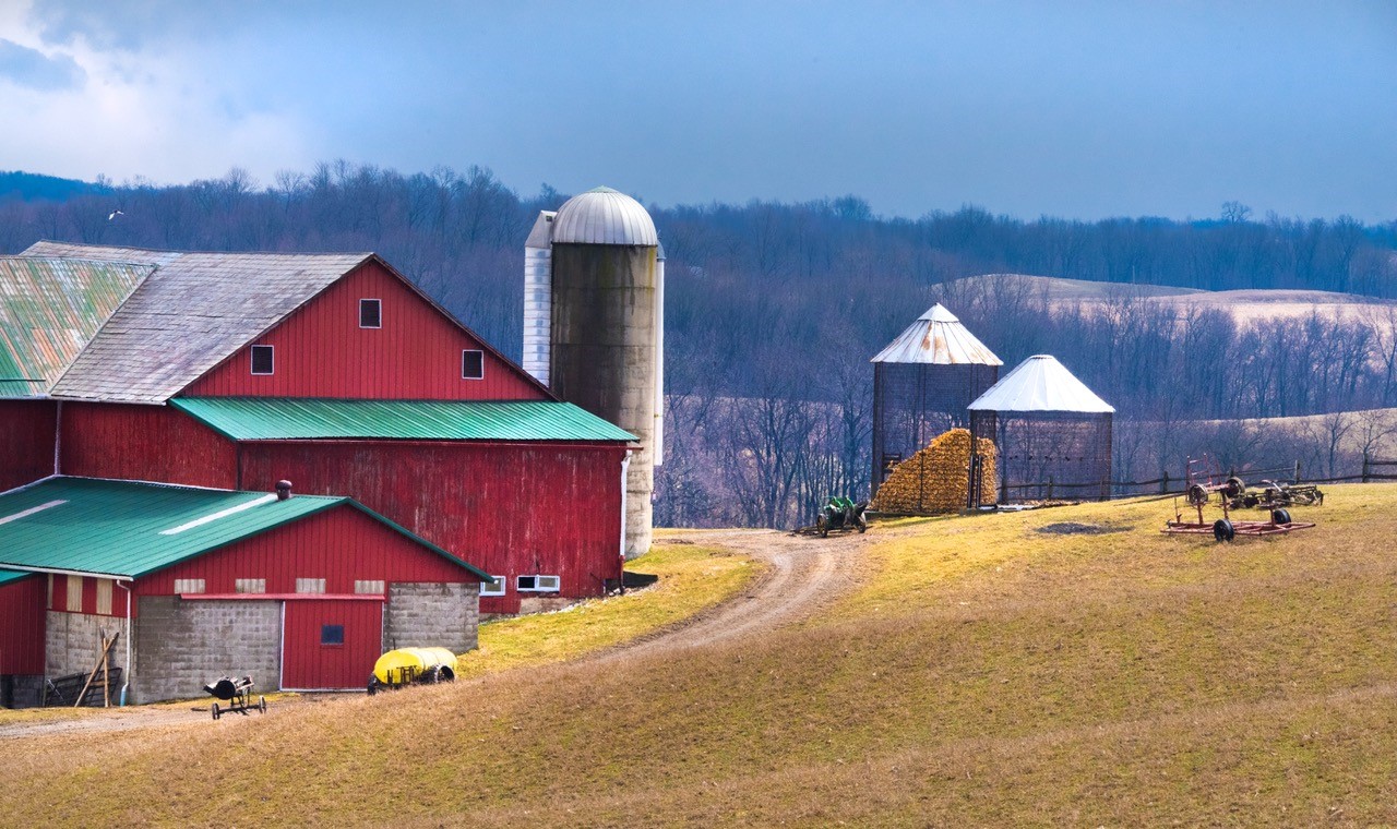 Barns on a farm