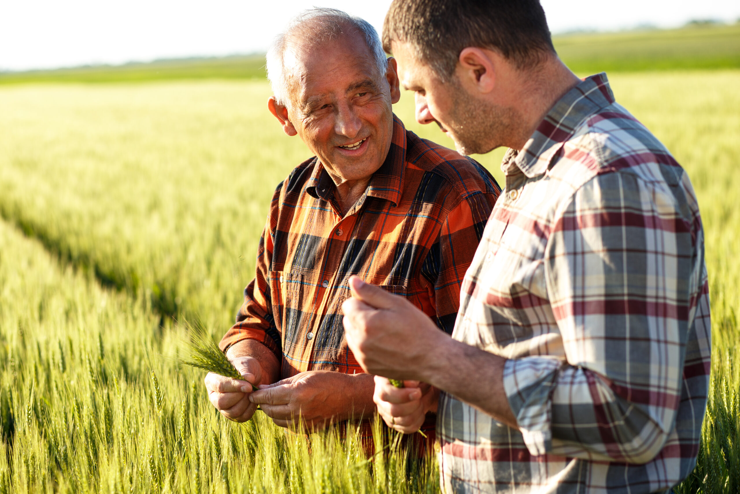Farmers in a field