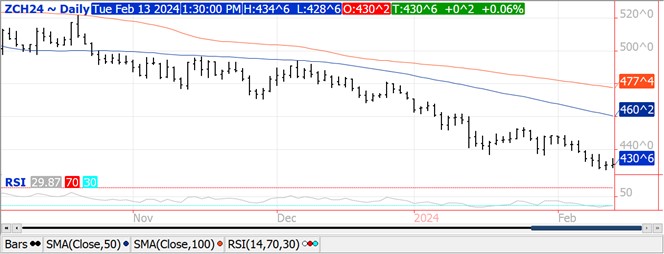 QST Corn chart for 2.13.24