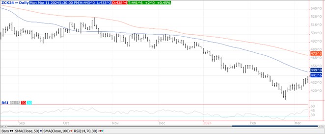 QST Corn chart on 3.11.24