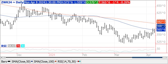 QST Wheat chart on 4.8.24