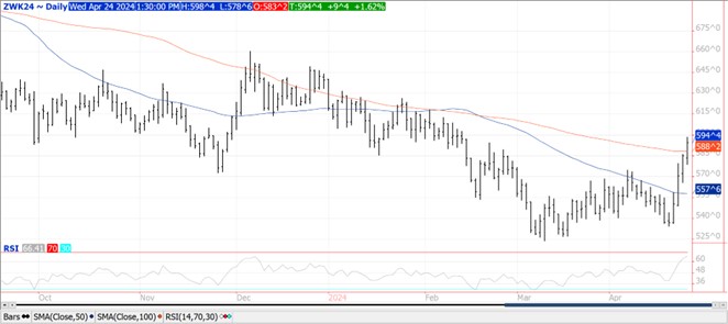 QST wheat chart on 4.24.24