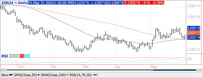 QST Soybean chart on 5.31.24