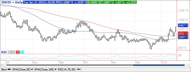 QST Soybeans Chart