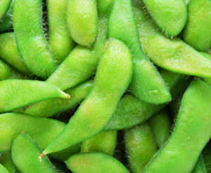 green soybeans
